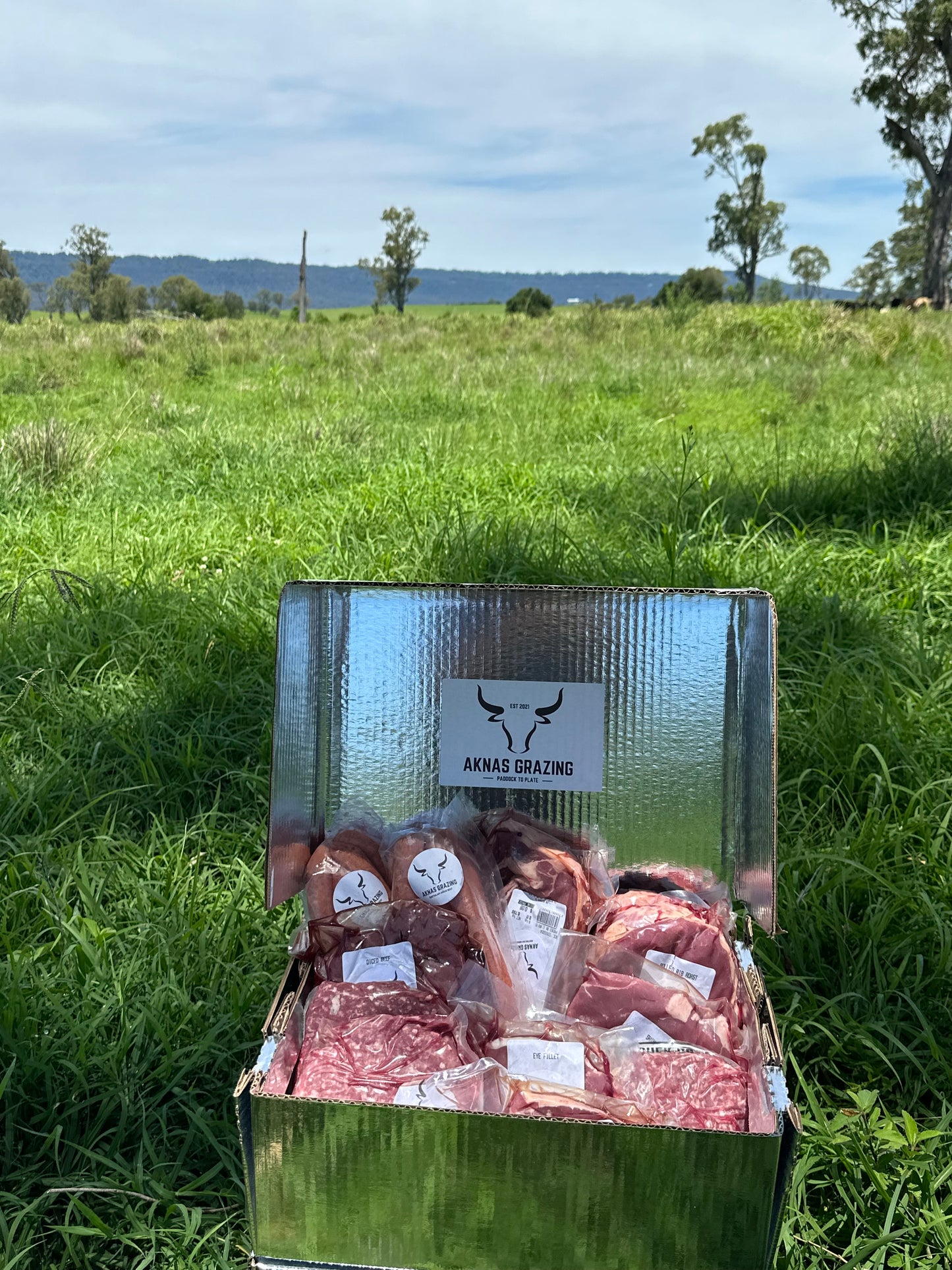 12kg Family Beef Box